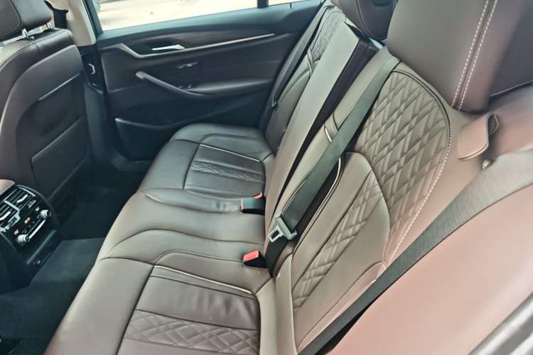 Used BMW 5 Series New Energy 2019 Updated Version 530Le Luxury Package
