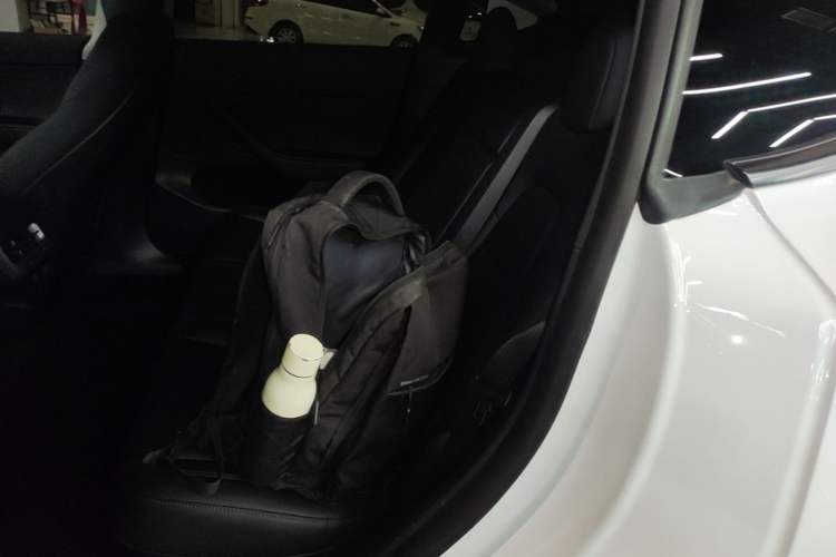 Used Tesla Model Y 2021 Standard Range Rear-Wheel Drive Version Left Rear Seat