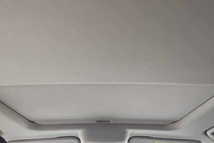 Used Tank 300 2024 2.0T Challenger Headliner