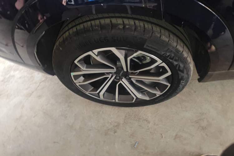 Used Lynk & Co 09 EM-P 2023 2.0TD EM-P Four-Wheel Drive Asian Games Executive Edition Five Seats
