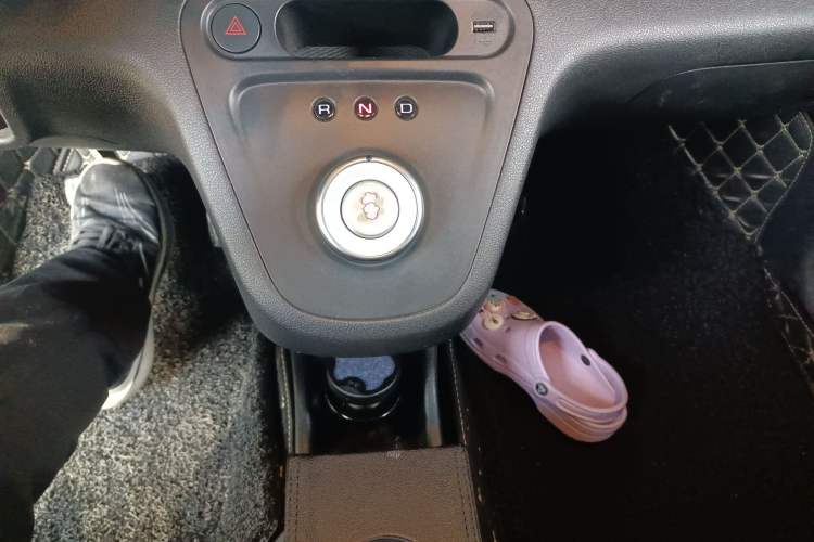 Used ORA White Cat 2020 305 km Luxury Version
