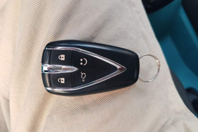 Used Qiyuan Lumin 2022 210km Sweet Edition
