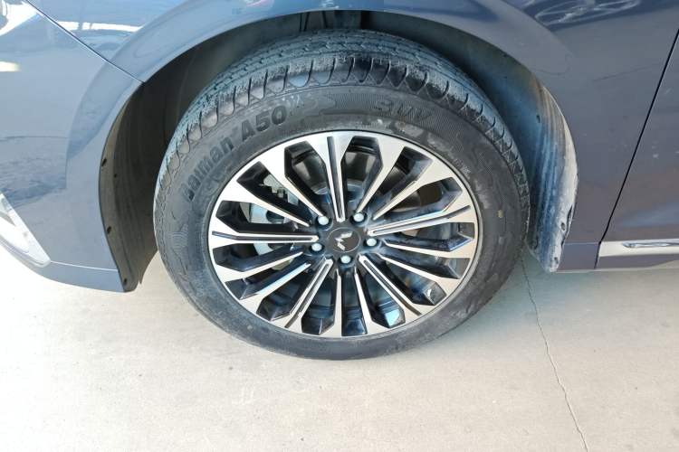 Used Wuling Victory 2023 2.0L DHT Deluxe Edition
