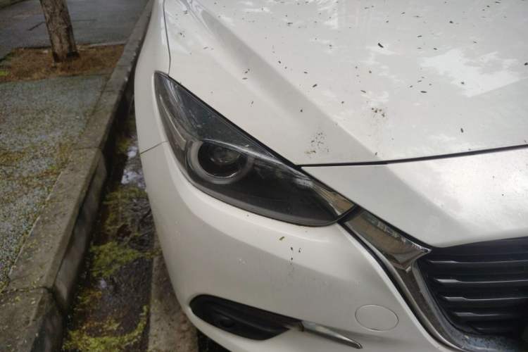 Used Mazda Mazda 3 Axela 2017 Hatchback 2.0L Automatic Luxury Model Emission Standard China V