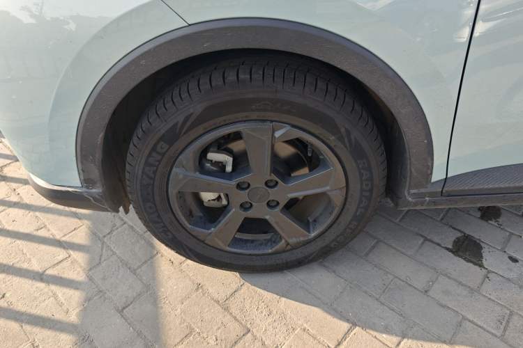 Used Geometry E Firefly 2022 401 km Linglong Tiger 4 Seats
