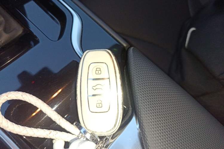 Used Hongqi E-QM5 2024 560km PLUS