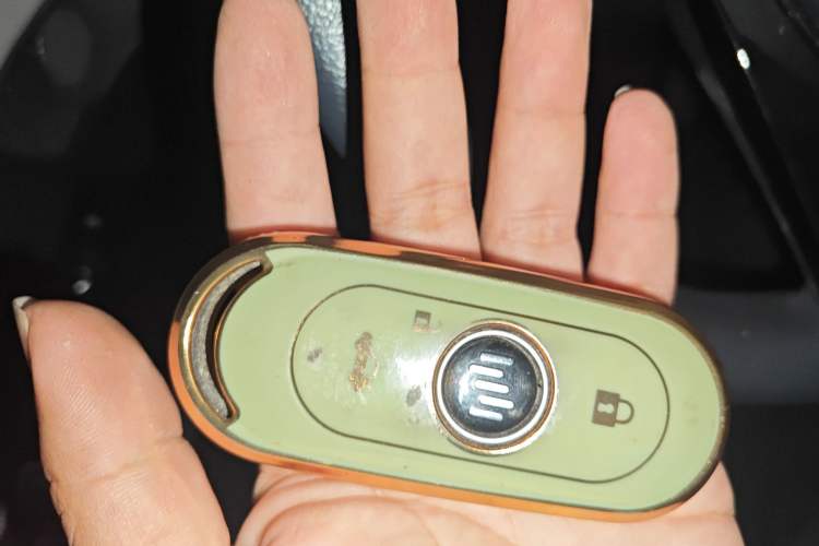 Used WM Motor EX5 2018 EX5 400 Extra Innovation Edition