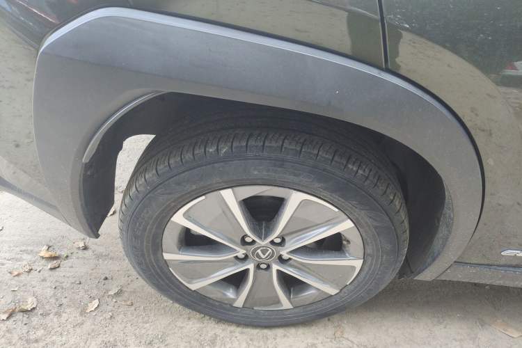 Used Lexus UX New Energy 2020 300e Pure·Joy Edition Exterior 8