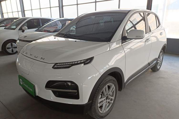 Used Dayun Yuehu 2023 300 Standard Edition
