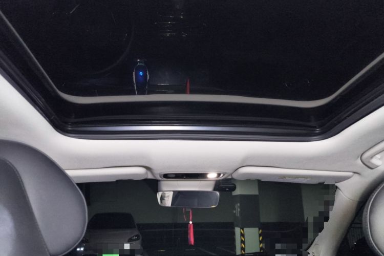 Used Leapmotor C11 2021 Performance Edition Headliner