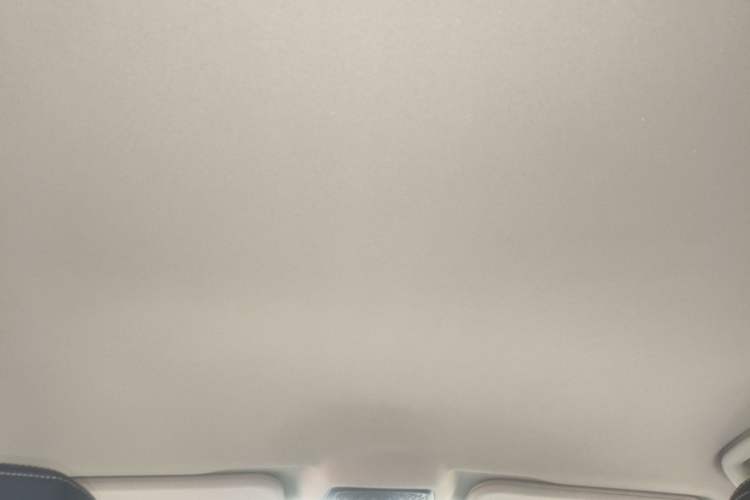 Used NETA U 2021 Pro 400 Cruiser Edition