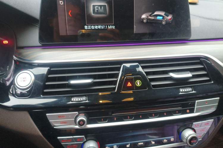 Used BMW 5 Series New Energy 2019 530Le Luxury Package
