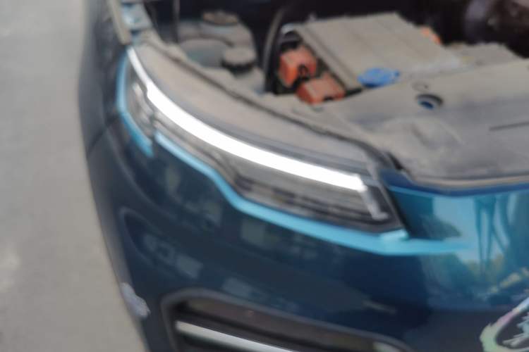 Used Dayun Yuehu 2021 32.85 kWh Two-Wheel-Drive Sprite Version
