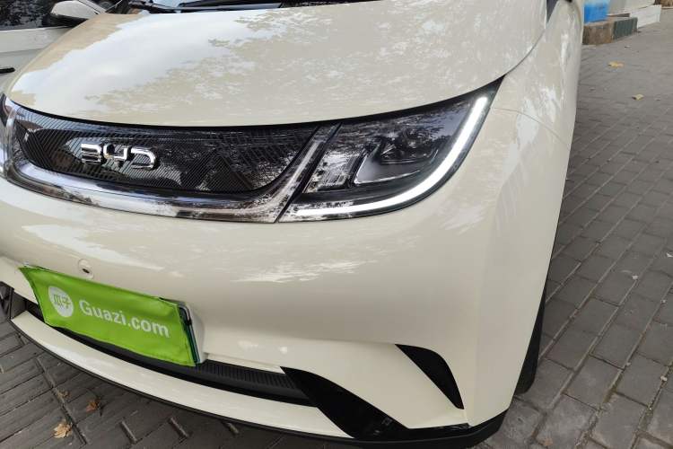 Used BYD Dolphin 2025 420km Free Edition
