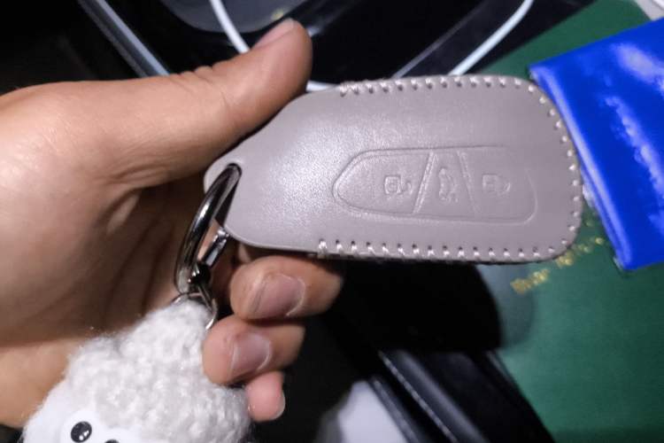 Used Volkswagen ID.4 CROZZ 2024 Pure Edition Limited Edition Vehicle Key