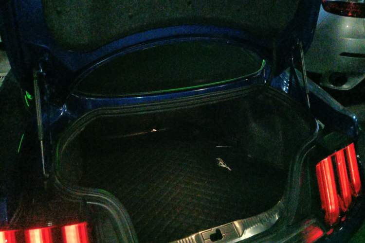 Used Ford Mustang 2017 2.3T Performance Edition
