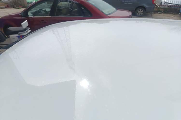 Used Skoda Octavia 2017 Classic Model 1.6L Automatic Standard Edition