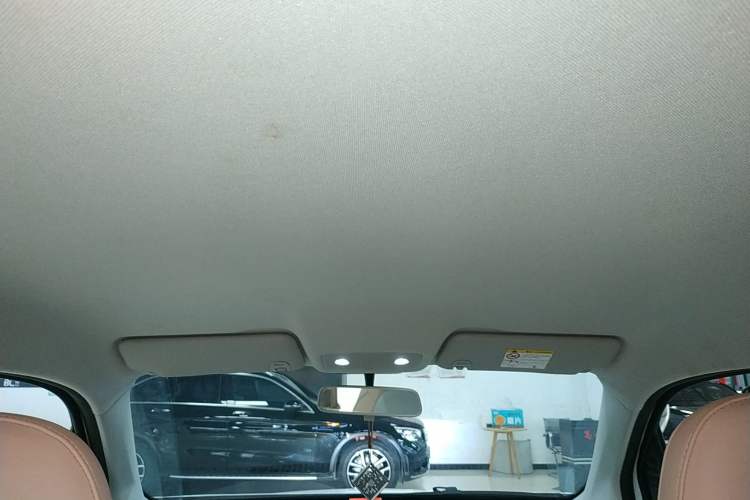 Used Leapmotor T03 2024 310 Comfort Edition Headliner