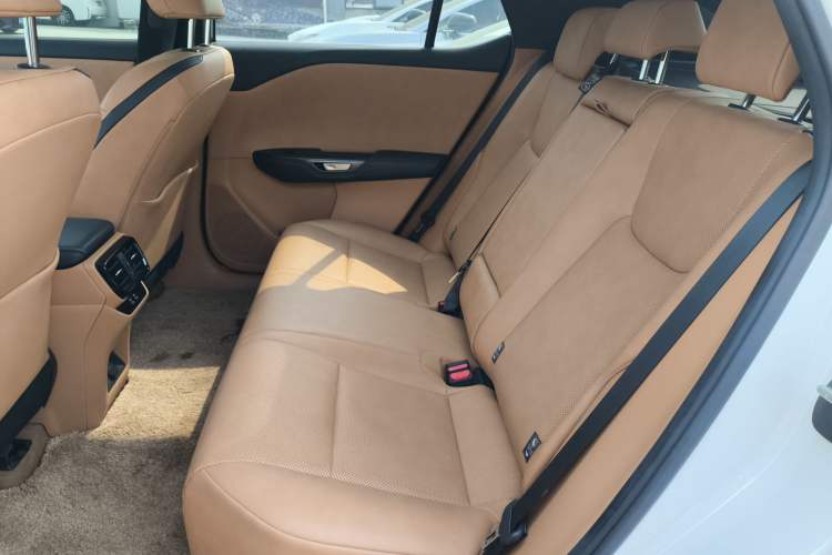 Used Lexus RZ 2023 450e All-Wheel Drive Luxury Edition Left Rear Seat