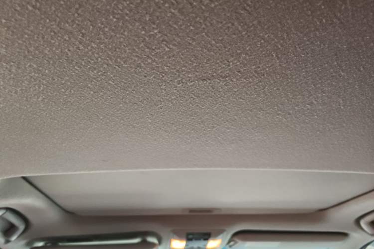 Used Toyota Prado 2018 3.5L Automatic TX-L Headliner