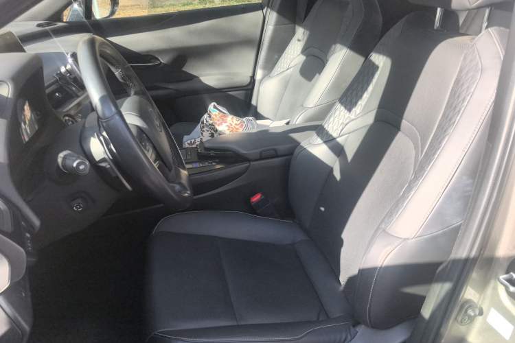 Used Lexus UX New Energy 2020 300e Pure·Joy Edition Left Front Seat