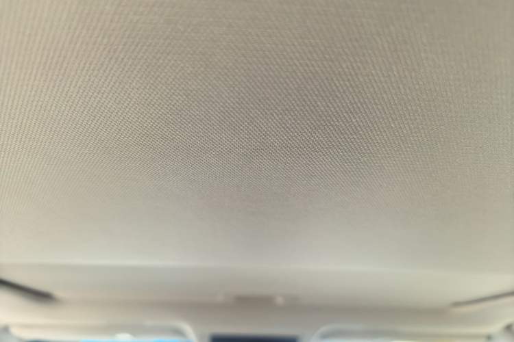 Used Lexus ES 2020 200 Excellence Edition Headliner