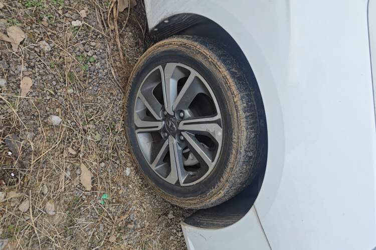 Used HORKI 300E 2017 Standard Model