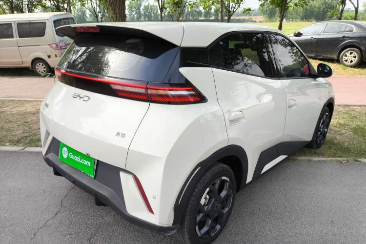 Used BYD Seagull 2025 305 km Free Version