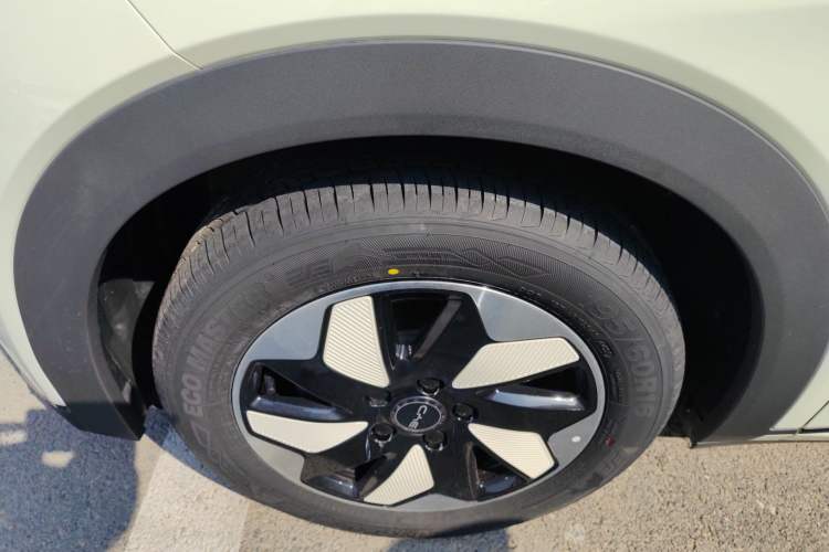 Used BYD Dolphin 2025 420km Free Edition