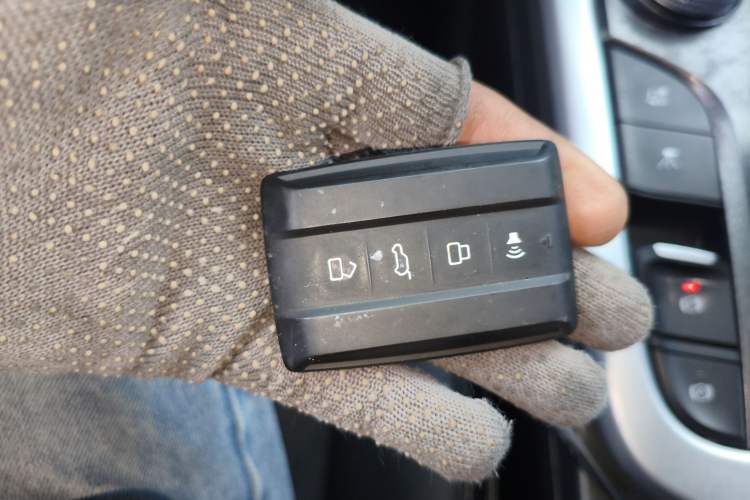 Used Tank 300 2022 2.0T Border Limited Edition