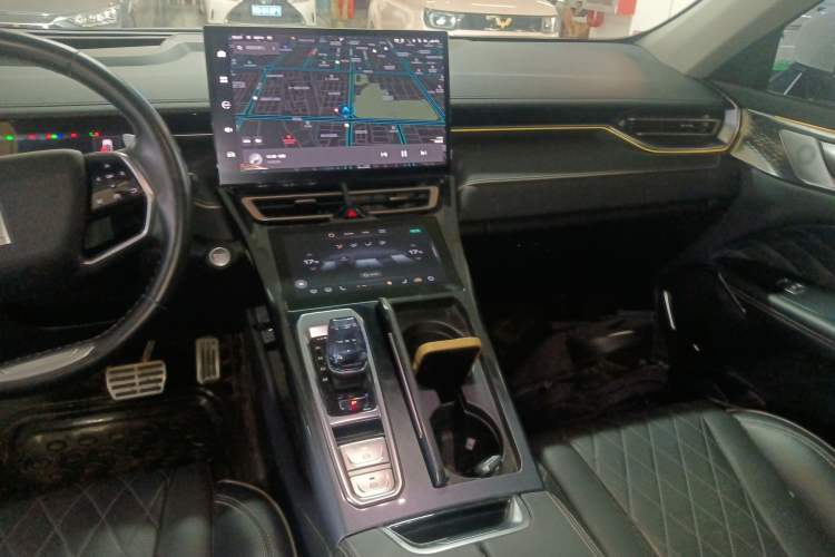 Used Wey Mocha 2021 2.0T Four-Wheel Drive Premium Edition
