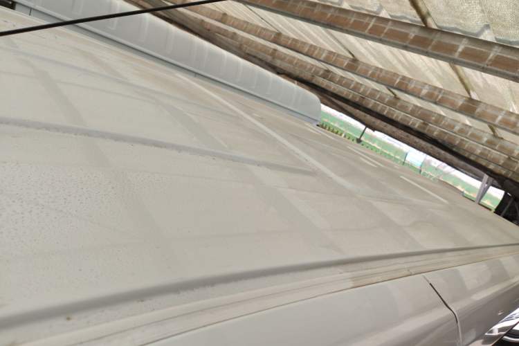 Used Ford Transit 2019 2.0T Gasoline Multi-Purpose Commercial Vehicle Short Wheelbase Low Roof 6-Seater China VI Standard