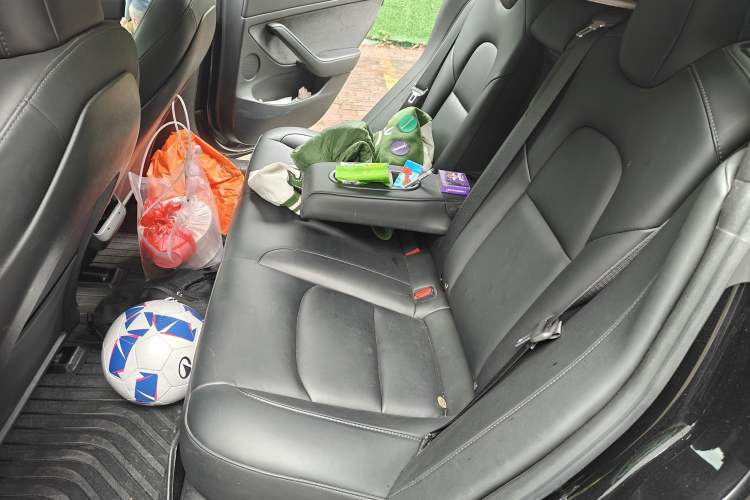 Used Tesla Model 3 2021 Revised Version II – Performance High-Performance All-Wheel-Drive Edition Left Rear Seat