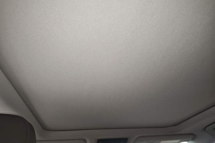 Used Lexus RX 2021 300 Four-Wheel Drive Special Edition Headliner