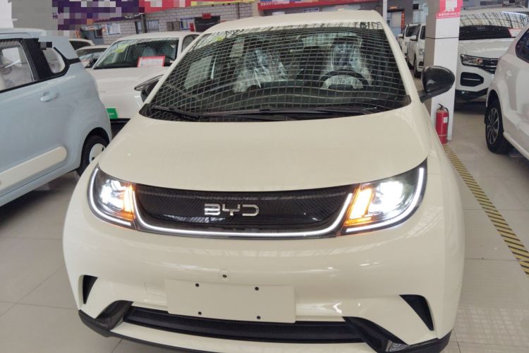 Used BYD Dolphin 2025 420km Free Edition