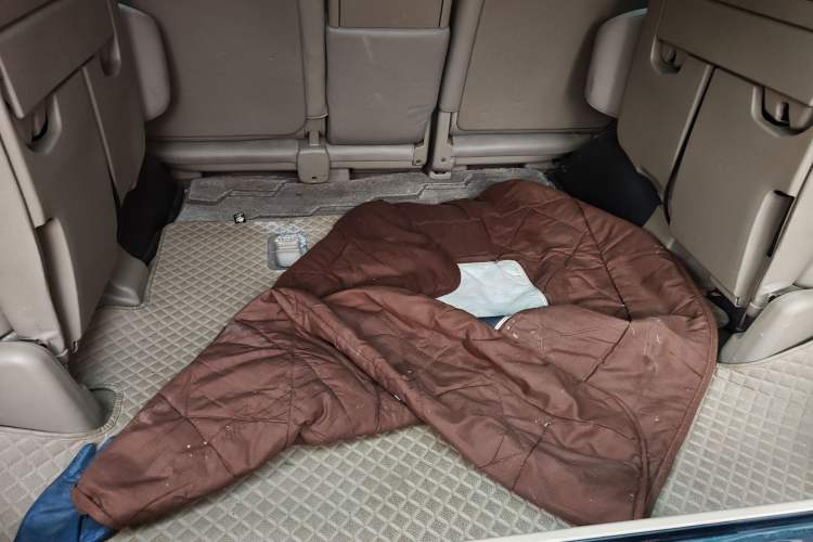 Used Toyota Land Cruiser 2010 4.0L Automatic VX Trunk