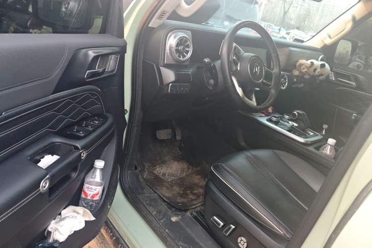 Used Tank 300 2021 2.0T Wind & Forest Iron Rider
