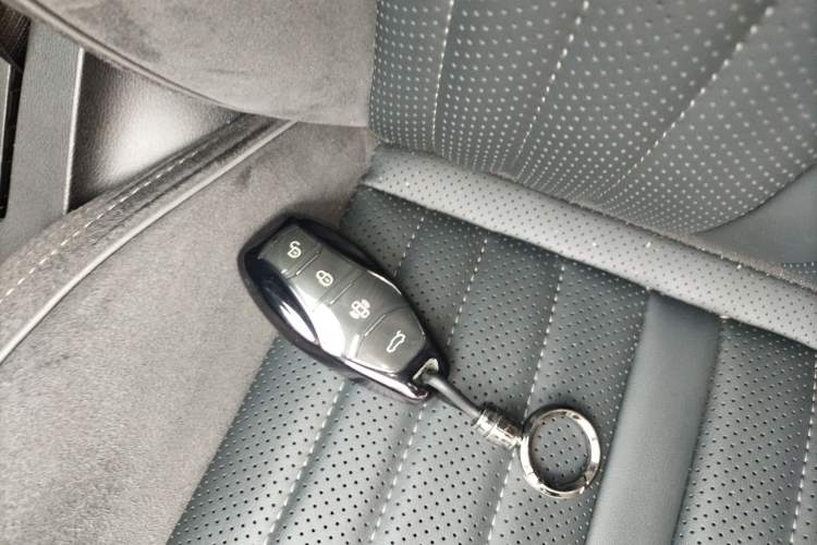 Used Hongqi H9 2024 2.0T Qixiang Private Style Edition