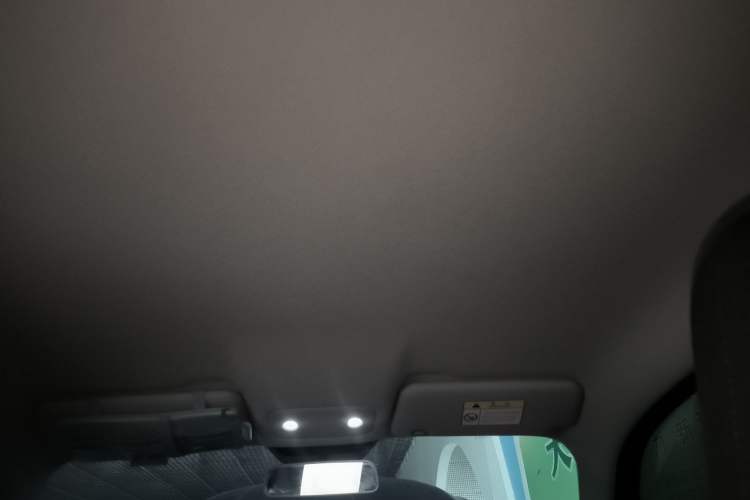 Used Leapmotor T03 2021 400 Lite Edition - Lithium-Ion Battery Headliner