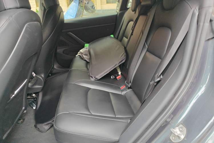 Used Tesla Model 3 2020 Standard Range Rear-Wheel Drive Upgraded Version