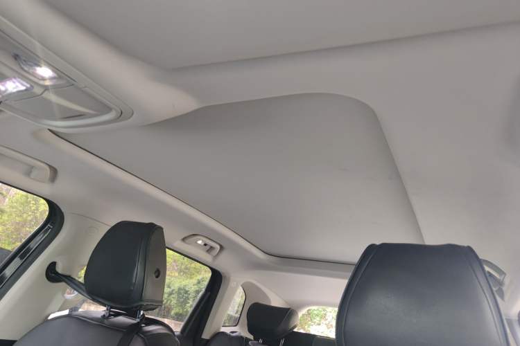 Used Haval DARGO 2021 2.0T DCT 4x4 Chinese Rural Dog Edition Headliner