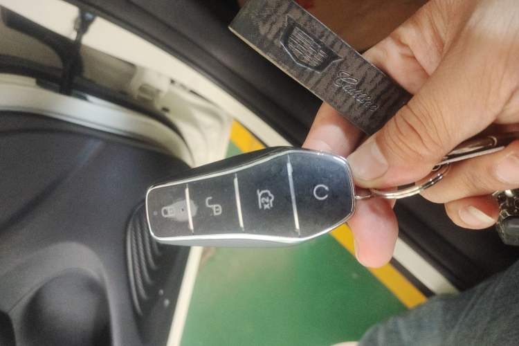 Used BYD Dolphin 2025 420km Free Edition