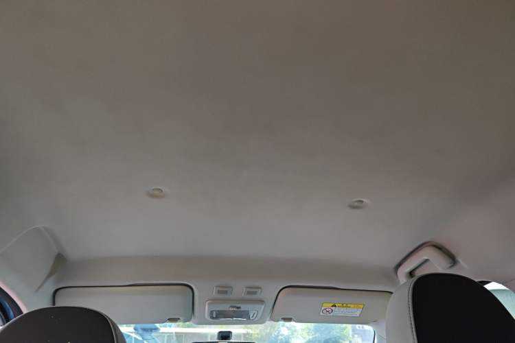 Used ORA Black Cat 2021 301 km Basic Version