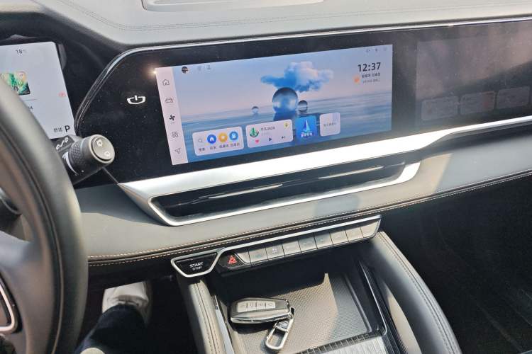 Used Geely Auto Monjaro L 2024 2.0TD DCT EVO Two-Wheel Drive Long-Range Version