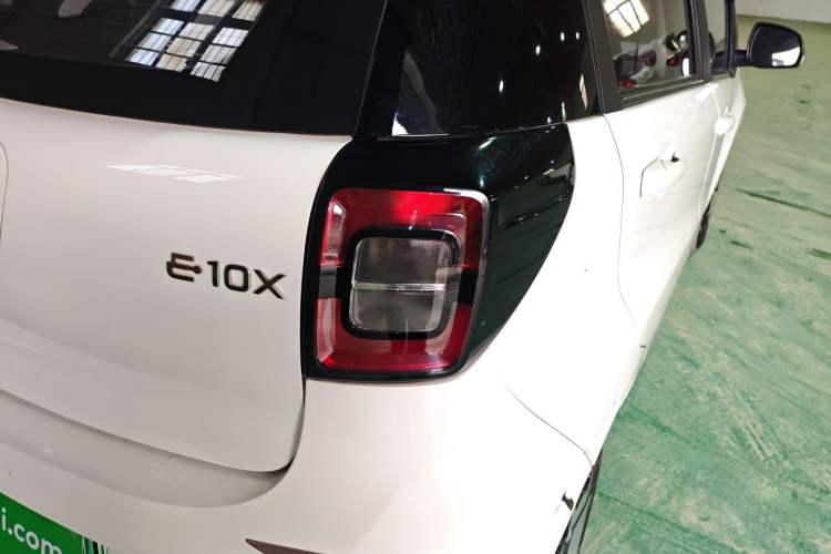 Used SOL E10X 2022 Flower Fairy Style Baby's Breath