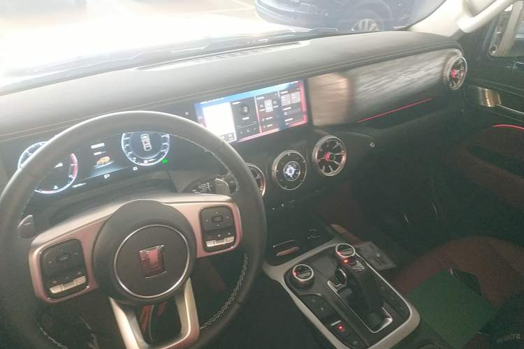 Used Tank 300 2024 2.0T Conqueror