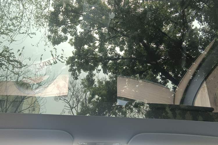 Used Tesla Model Y 2022 Revised Version Rear-Wheel Drive Headliner