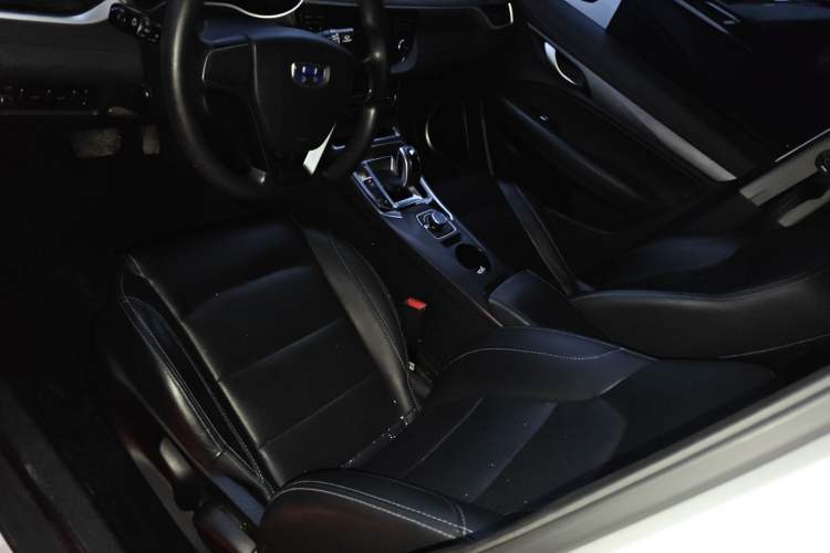 Used Geely Auto Emgrand New Energy 2018 EV450 Ambition Model Left Front Seat