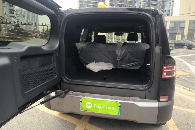 Used Formula Leopard Tai 7 2025 Model 200 km Two-Wheel Drive Max Edition
