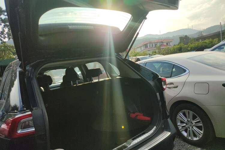 Used Toyota Wildlander 2020 2.0L CVT 4x4 Luxury Edition
